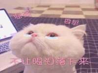 永修县汤赢商贸部