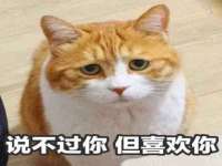 永修县汤赢商贸部