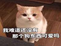 永修县汤赢商贸部