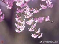 永修县汤赢商贸部