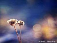 永修县汤赢商贸部