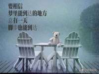 永修县汤赢商贸部
