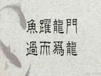 永修县汤赢商贸部