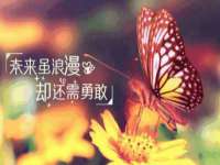 永修县汤赢商贸部