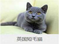 永修县汤赢商贸部