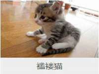 永修县汤赢商贸部