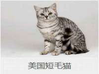 永修县汤赢商贸部