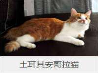 永修县汤赢商贸部