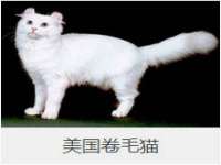 永修县汤赢商贸部