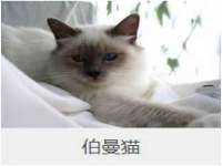 永修县汤赢商贸部