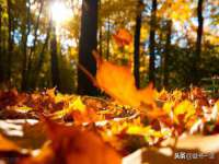 永修县汤赢商贸部