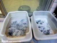 永修县汤赢商贸部