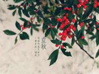永修县汤赢商贸部