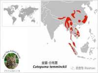 永修县汤赢商贸部