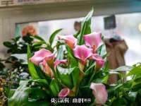永修县汤赢商贸部