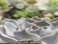 永修县汤赢商贸部