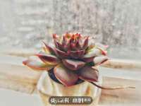 永修县汤赢商贸部