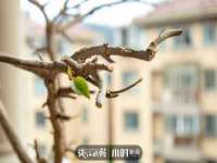 永修县汤赢商贸部