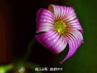 永修县汤赢商贸部