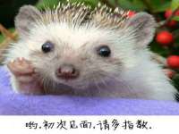 永修县汤赢商贸部