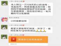 永修县汤赢商贸部