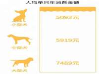 永修县汤赢商贸部