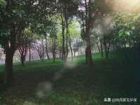 永修县汤赢商贸部