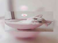 永修县汤赢商贸部