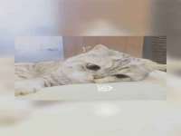 永修县汤赢商贸部
