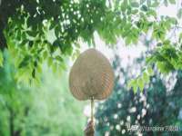 永修县汤赢商贸部