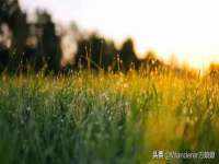 永修县汤赢商贸部