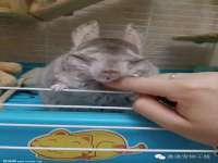 永修县汤赢商贸部