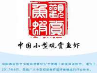 永修县汤赢商贸部