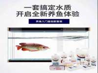 永修县汤赢商贸部