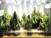 永修县汤赢商贸部