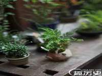 永修县汤赢商贸部