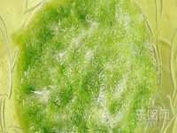 永修县汤赢商贸部