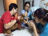 永修县汤赢商贸部