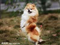 永修县汤赢商贸部