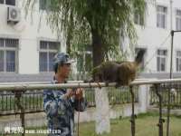 永修县汤赢商贸部
