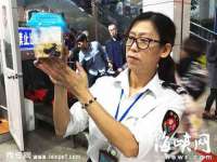 永修县汤赢商贸部