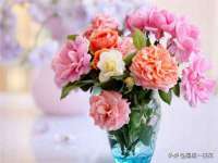 永修县汤赢商贸部