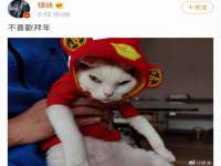 永修县汤赢商贸部
