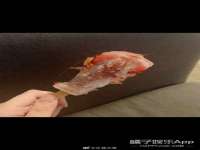 永修县汤赢商贸部